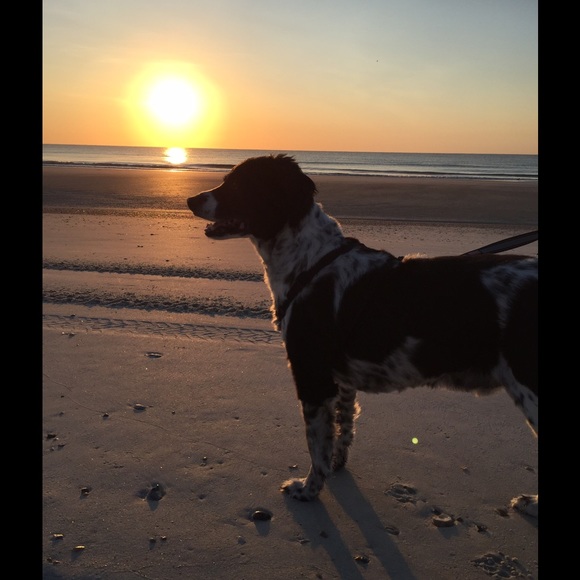 💕WELCOME TO MY CLOSET💕 - Picture 5 of 8