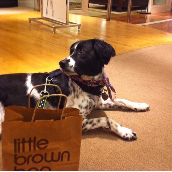 💕WELCOME TO MY CLOSET💕 - Picture 8 of 8