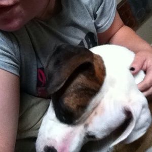 Meet your Posher, Mollie