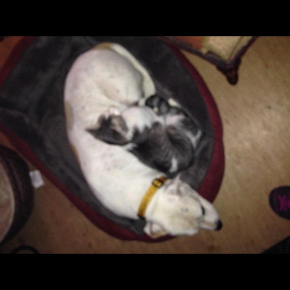 Meet your Posher, Austin - Picture 7 of 8