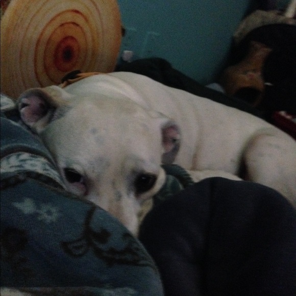 Meet your Posher, Austin - Picture 4 of 8