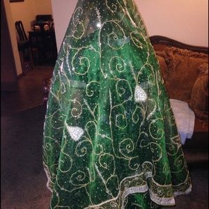 Traditional Indian dress