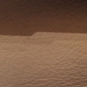 Meet your Posher, Whitney