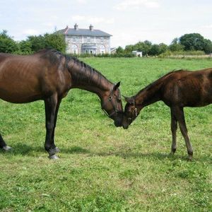 Meet your Posher, Jane
