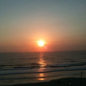 Meet your Posher, Ernest