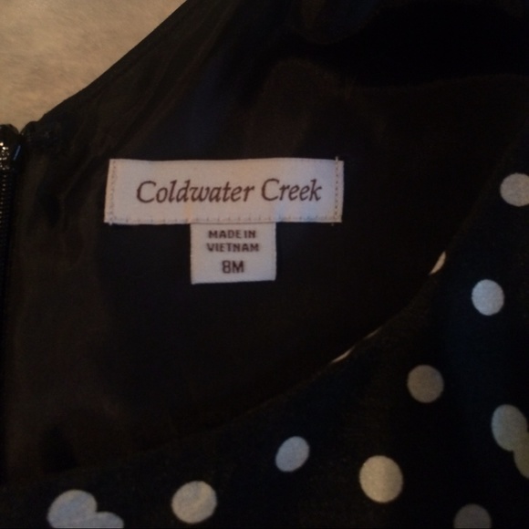 NWOT Polk Dot Dress - Picture 3 of 3