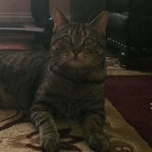 Meet your Posher, Venora