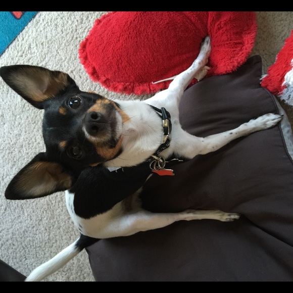 Meet your Posher, Alexis - Picture 2 of 3