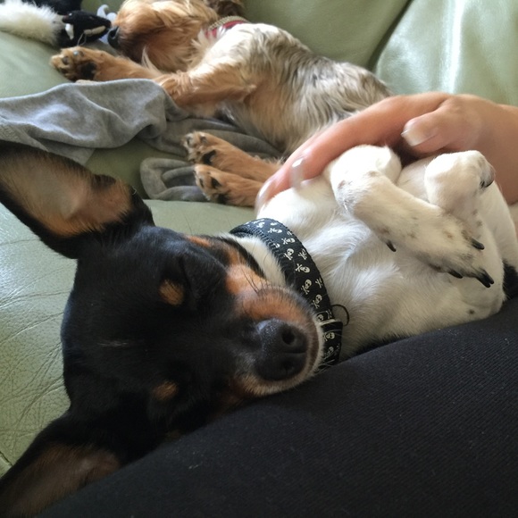 Meet your Posher, Alexis - Picture 3 of 3