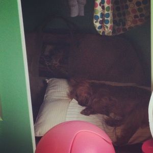 Meet your Posher, Breanah