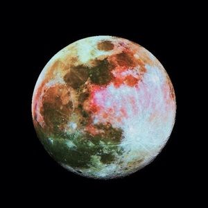 Meet your Posher, Genesis