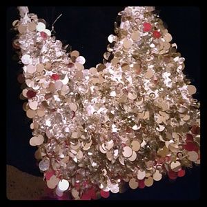 Fun and Flirty Shimmy Bag. NWOT