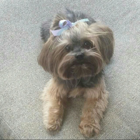 Hi! Meet your seller :D - Picture 4 of 4