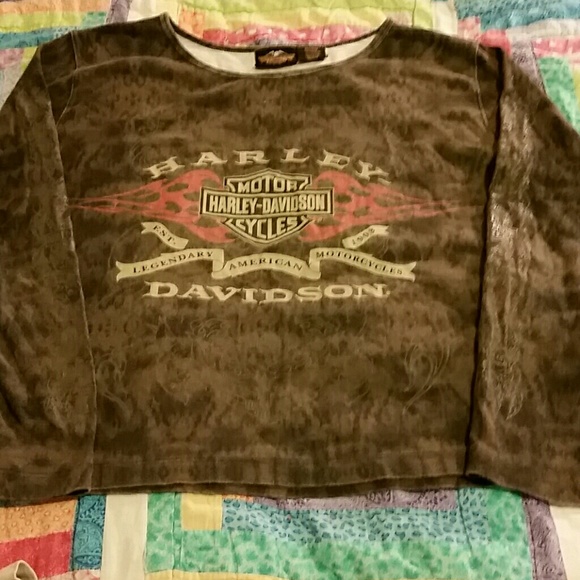 Harley Davidson shirt