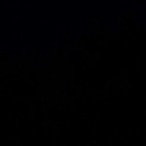 Meet your Posher, Jisu