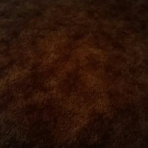 Meet your Posher, Shelby