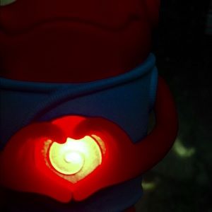 Meet your Posher, Cheyenne