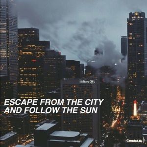 Meet your Posher, Bailey