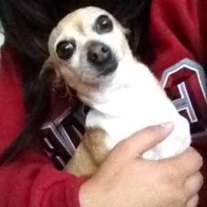 Meet your Posher, Marisol