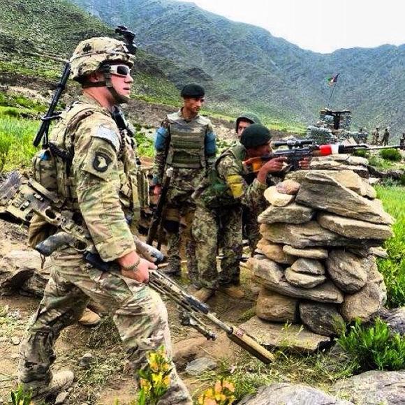 Meet your Posher, Michael - Picture 1 of 1