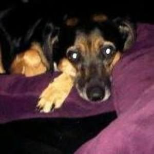 Meet your Posher, Lucyna