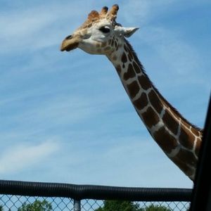 Meet your Posher, Breanna