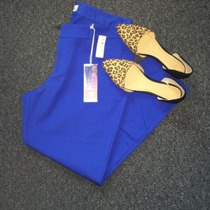 Cobalt Blue Pixie Pants