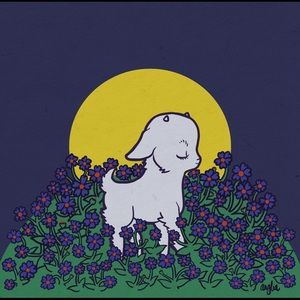 Meet your Posher, Loren