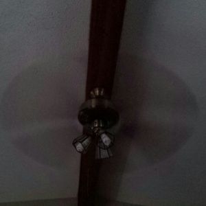 Meet your Posher, Lenore