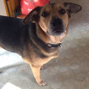 Meet your Posher, Holly