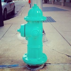 Meet your Posher, Michelle