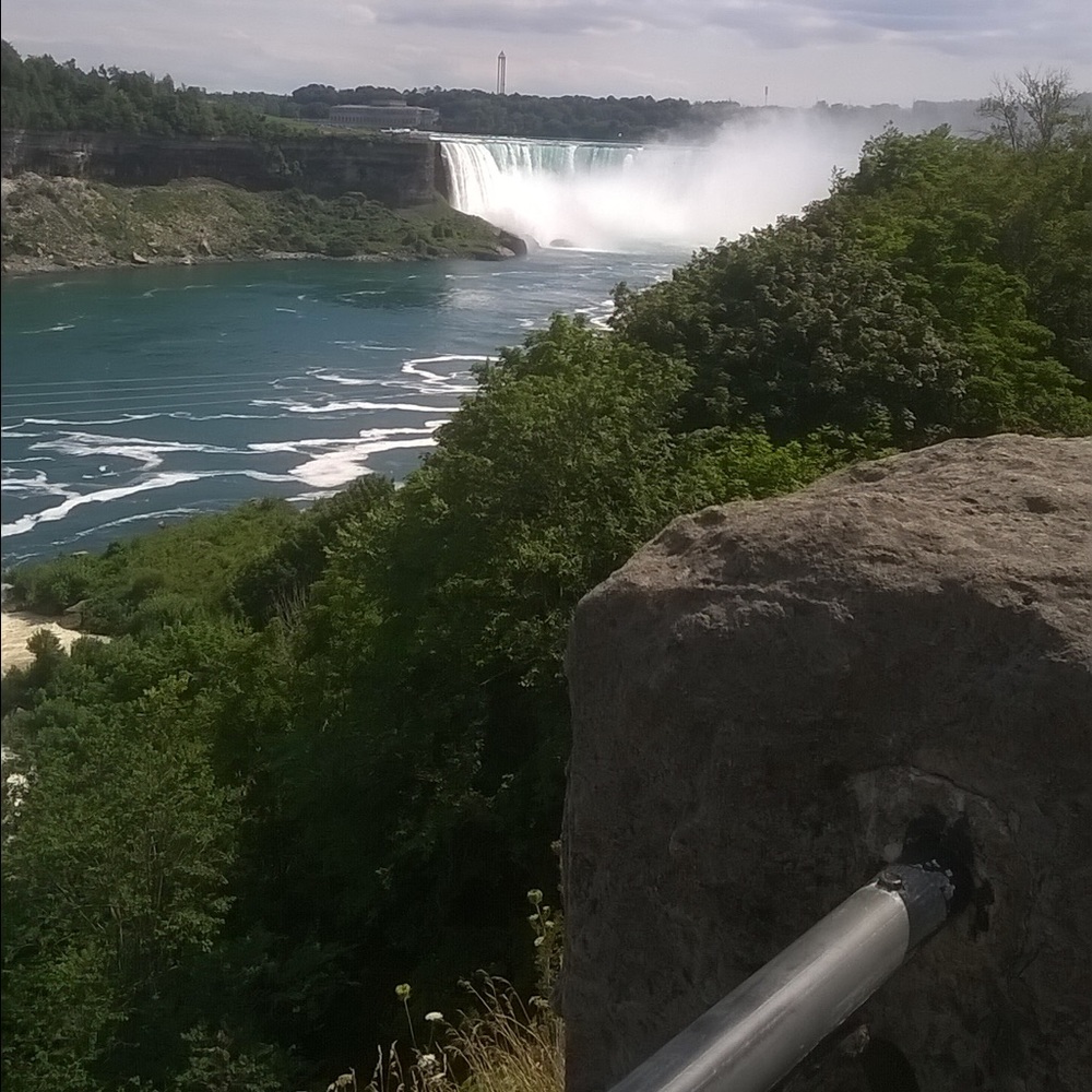 Meet your Posher, Bambie