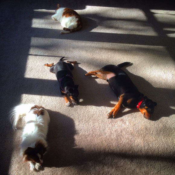 Meet your Posher, Tiffany - Picture 2 of 4