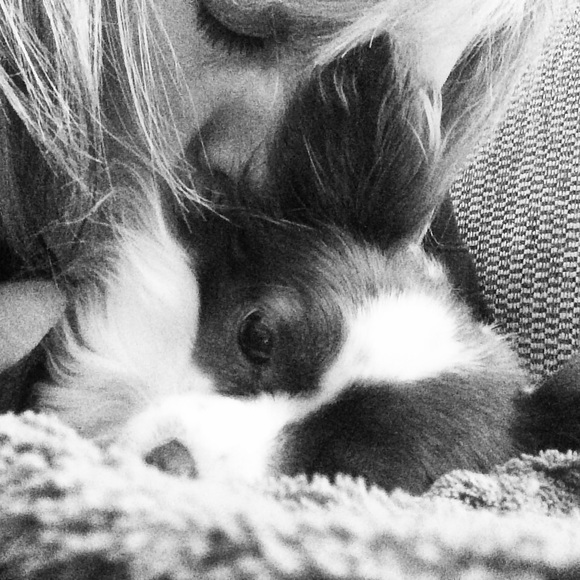 Meet your Posher, Tiffany - Picture 3 of 4