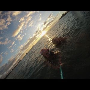 Meet your Posher, Summer