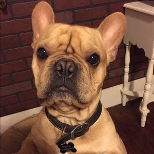 Meet your Posher, Charlie