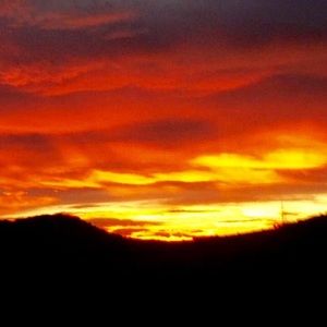 Meet your Posher, Peyton