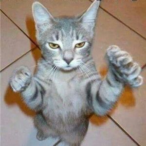 Meet your Posher, Stacy