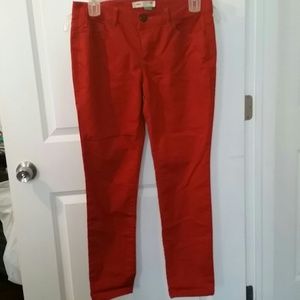 Burnt Orange Pants