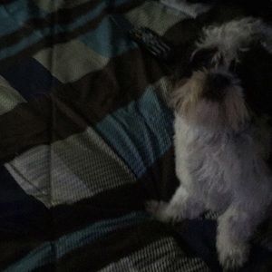 Meet your Posher, Franciela