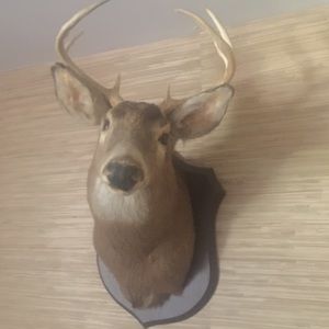 Meet your Posher, Karla