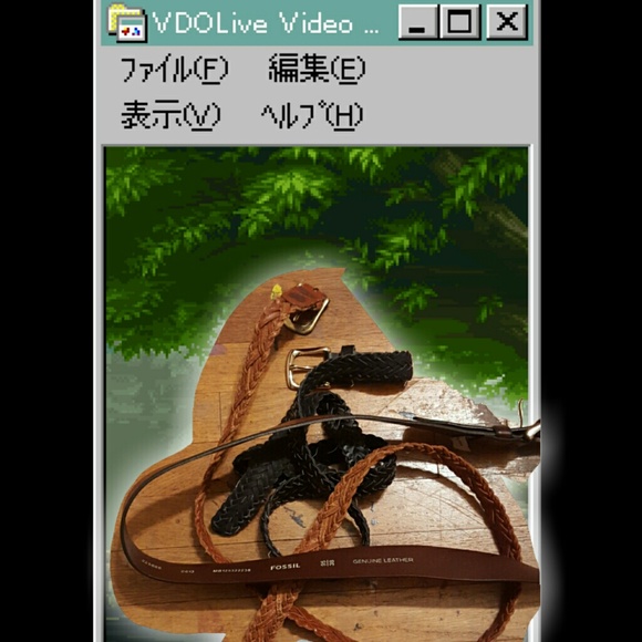 FOSSIL AND FRIENDS BUNDLE