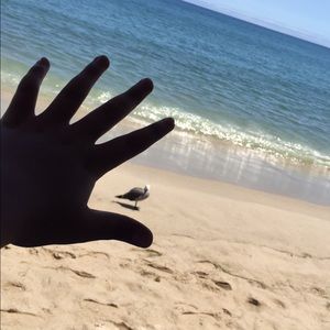 Meet your Posher, Leroy