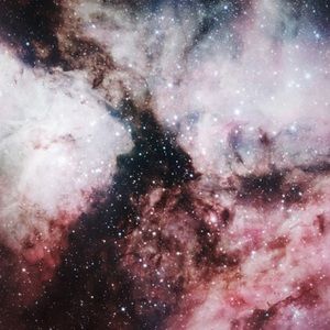 Meet your Posher, Drew