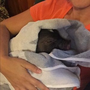 Meet your Posher, Chaé