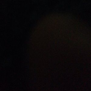 Meet your Posher, Bobbie