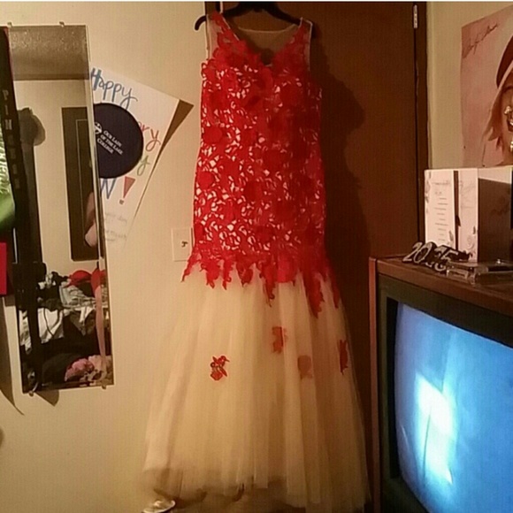 Vintage red and creme prom dress (back on sale)