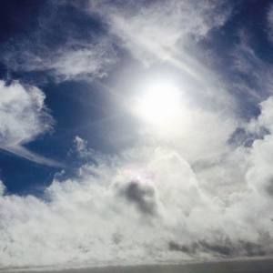 Meet your Posher, Alfred