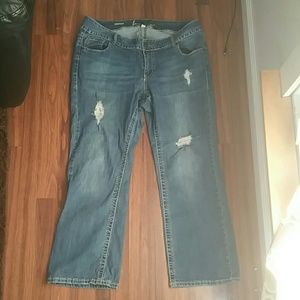 Lane Bryant 18 bootcut jeans petite