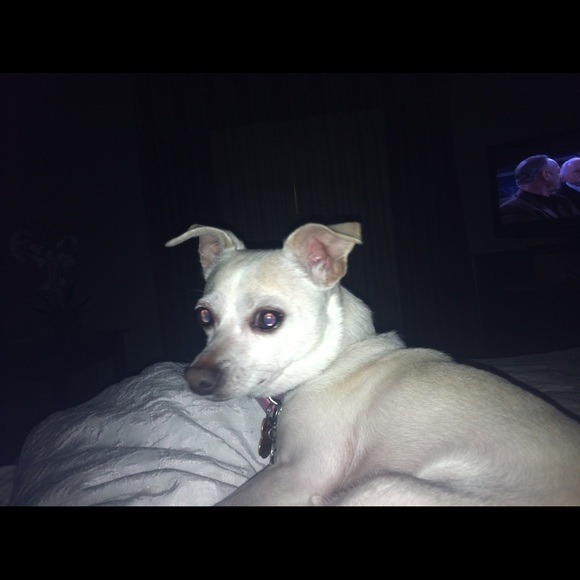 Meet your Posher, Kimberly - Picture 3 of 4